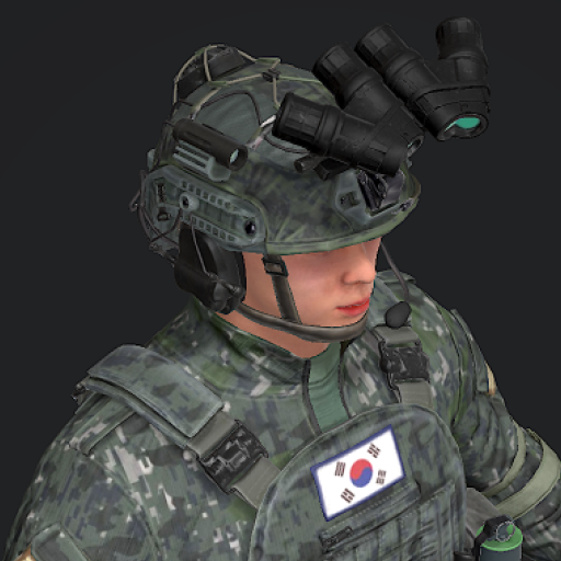 South Korean Warrior